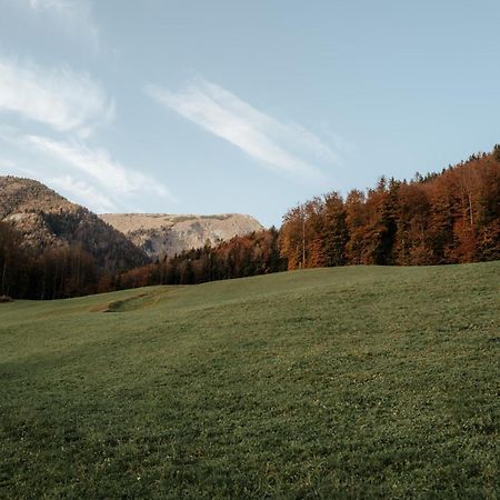 Апартаменты Auerhias Sankt Wolfgang im Salzkammergut Экстерьер фото